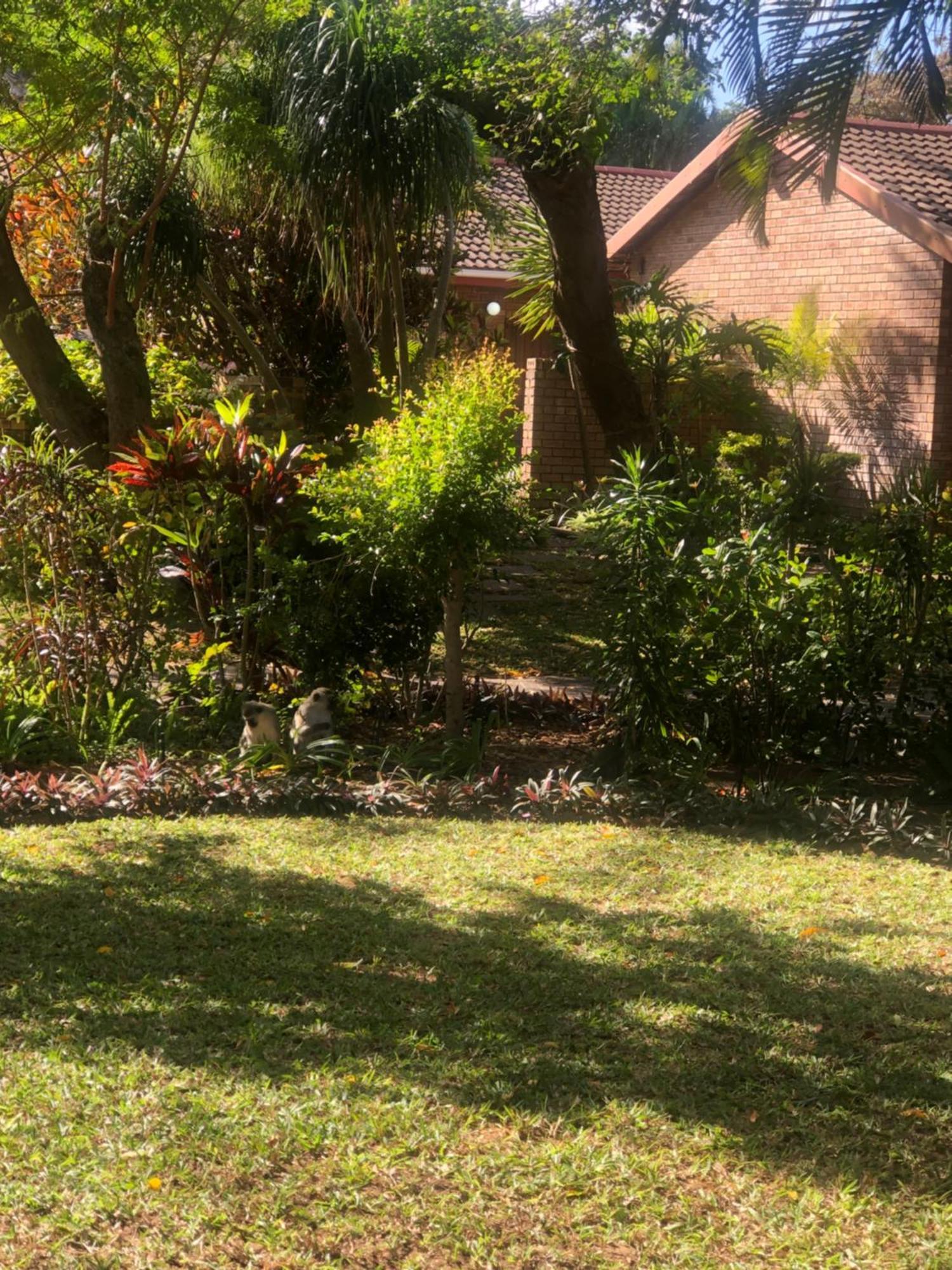 El Seuno De Africa -The Dream Of Africa Villa St Lucia Exterior photo